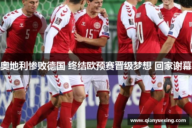 奥地利惨败德国 终结欧预赛晋级梦想 回家谢幕