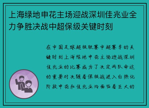 上海绿地申花主场迎战深圳佳兆业全力争胜决战中超保级关键时刻