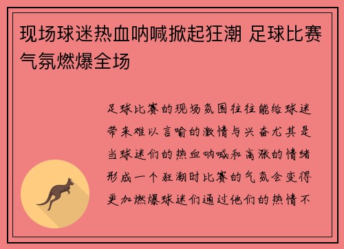 现场球迷热血呐喊掀起狂潮 足球比赛气氛燃爆全场