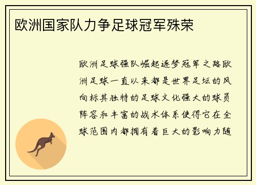 欧洲国家队力争足球冠军殊荣