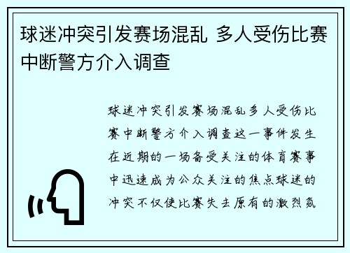 球迷冲突引发赛场混乱 多人受伤比赛中断警方介入调查